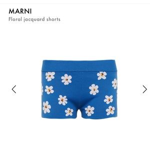 Preowned Women's Blue Floral shorts Sz 42 (US 6).